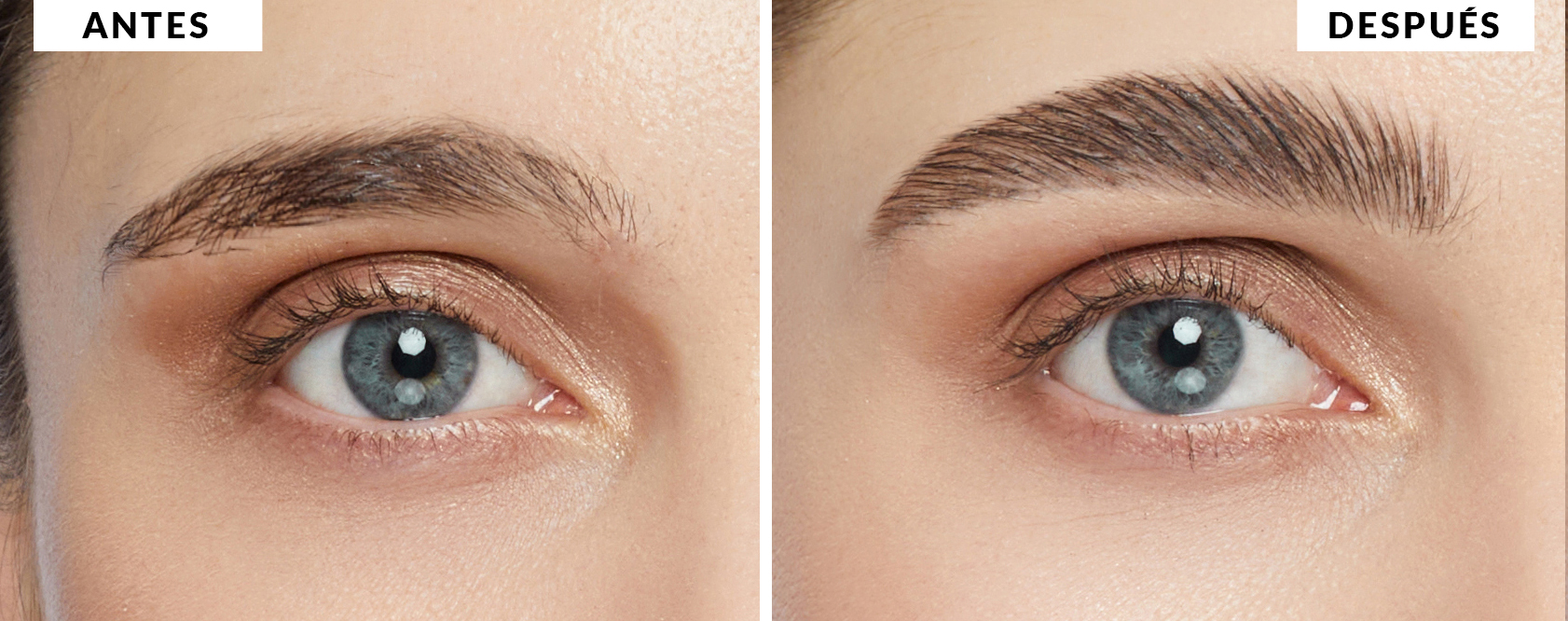 Gel de cejas